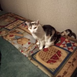 Meet your Posher, Kathy